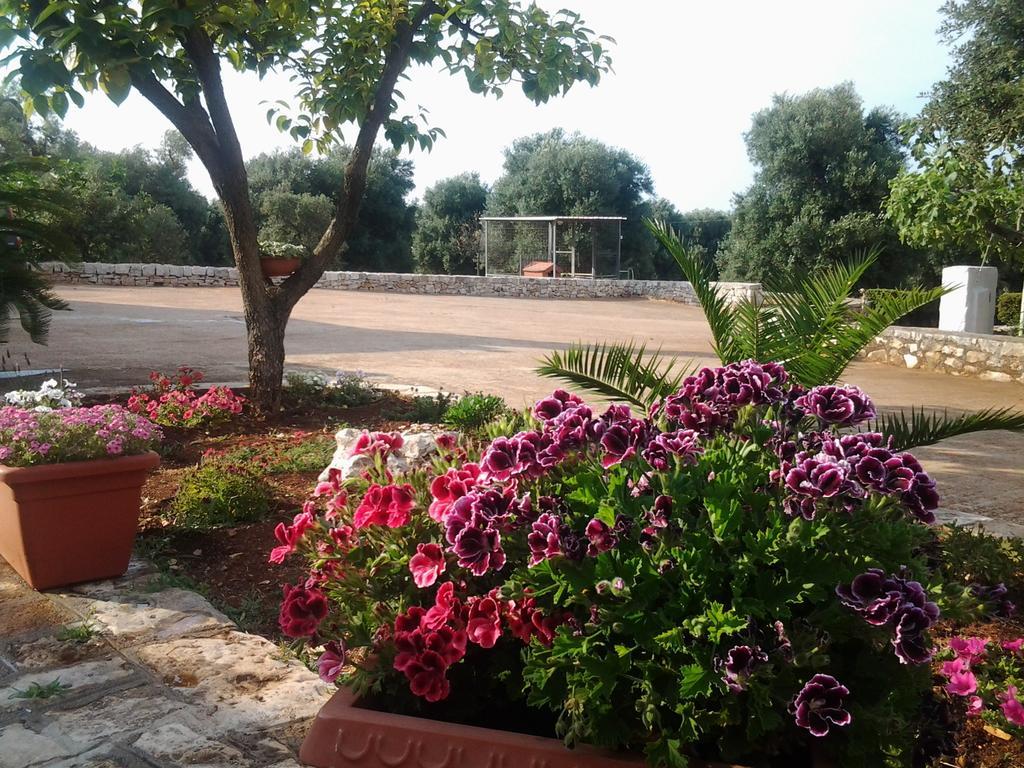 Apartamento La Collina Degli Ulivi Fasano Exterior foto