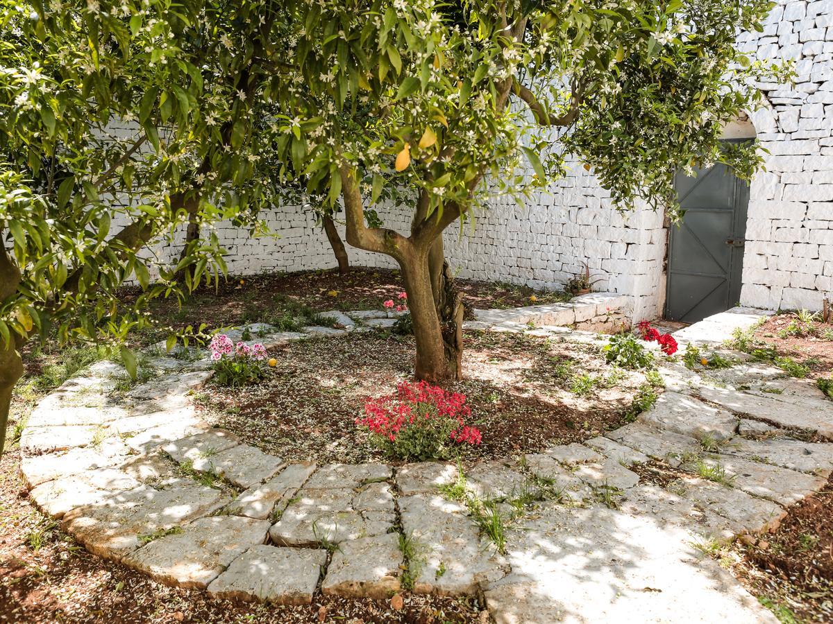 Apartamento La Collina Degli Ulivi Fasano Exterior foto